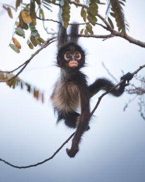 Image post by @discovery on Instagram