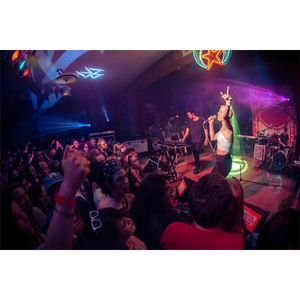 Image post by @treefortfest on Instagram