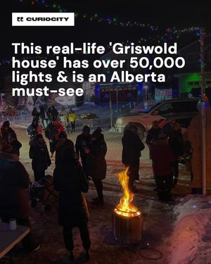 Image post by @curiocitycalgary on Instagram