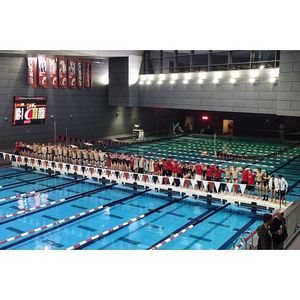 Image post by @gobearcatsswim on Instagram