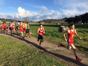 Image post by @palma_school on Instagram