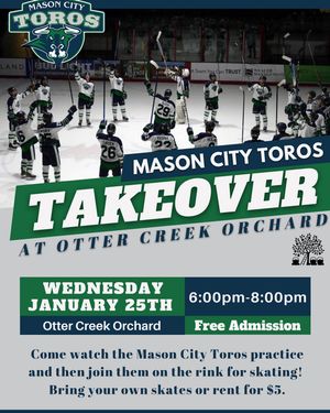 Image post by @masoncitytoros on Instagram