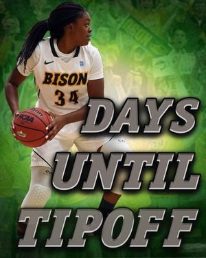 Image post by @ndsuwbb on Instagram