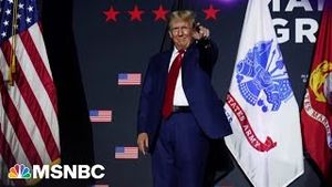 Video post by @msnbc on YouTube