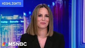 Video post by @msnbc on YouTube