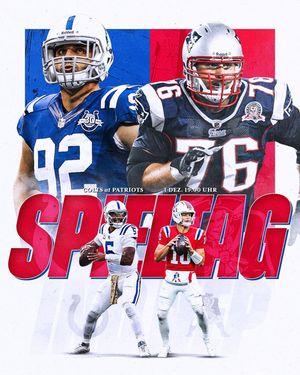 Image post by @patriotsdeutschland on Instagram