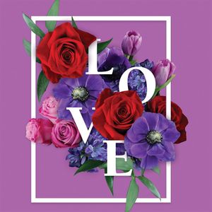 Image post by @shopbachmans on Instagram