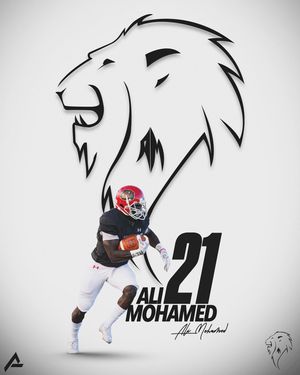 Image post by @arbaut_photography on Instagram