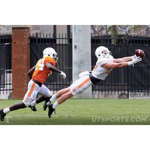 Image post by @vol_photos on Instagram