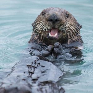 Image post by @nationalparkservice on Instagram