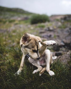Image post by @joshkingphotography on Instagram