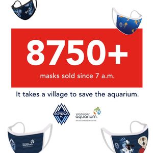 Image post by @whitecapsfc on Instagram