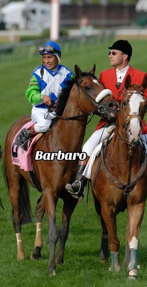 Image post by @kentuckyderby on TikTok