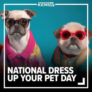 Image post by @kens5 on Instagram