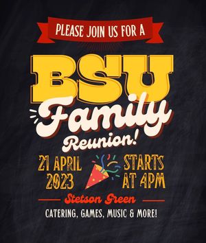 Image post by @bsustetson on Instagram