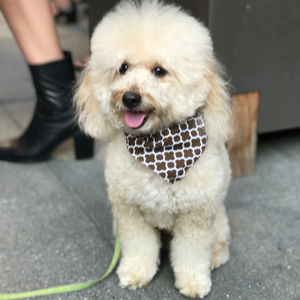Image post by @yourfuzzy on Instagram