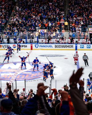 Image post by @nyislanders on Instagram