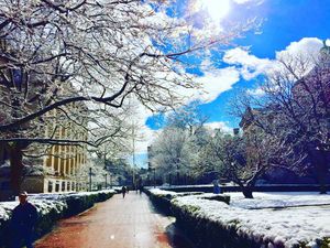 Image post by @culionsmbb on Instagram