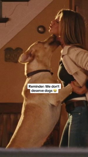 Video post by @hulu on TikTok