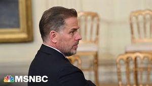 Video post by @msnbc on YouTube