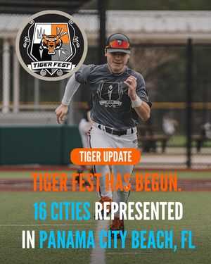 Image post by @rawlingstigers on Instagram