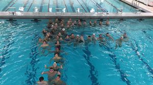 Image post by @fordhamswimdive on Instagram