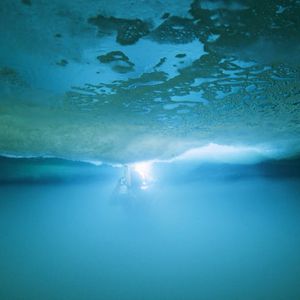 Image post by @discovery on Instagram