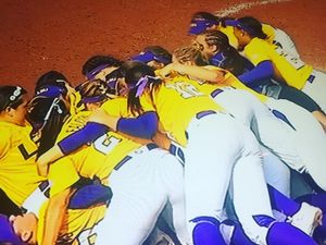 Image post by @lsuvolleyball on Instagram