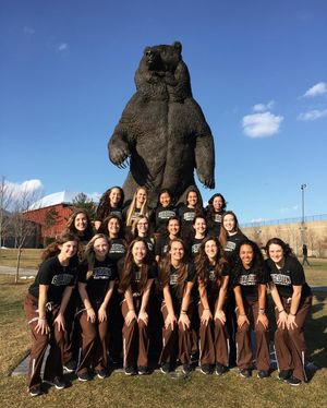 Image post by @brownu_softball on Instagram