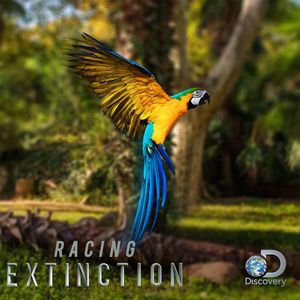 Image post by @discovery on Instagram
