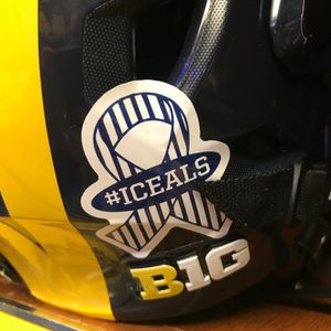Image post by @umichhockey on Instagram