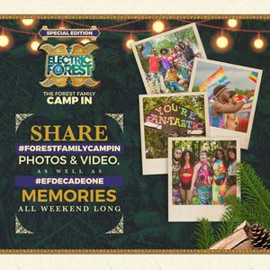 Image post by @electric_forest on Instagram