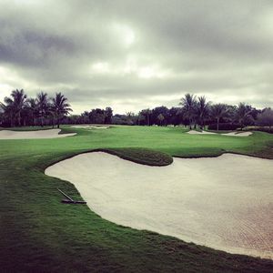 Image post by @lukedonald on Instagram