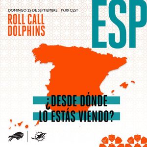 Image post by @dolphins_esp on Instagram
