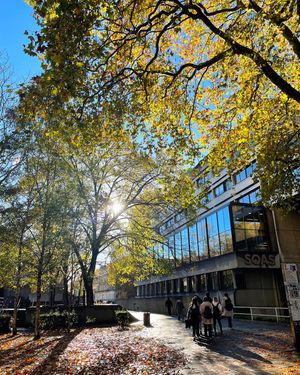 Image post by @soasuni on Instagram