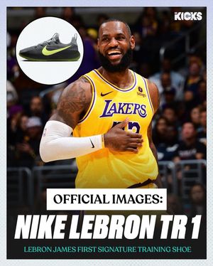 Image post by @brkicks on TikTok