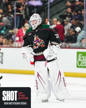Image post by @arizonacoyotes on Instagram