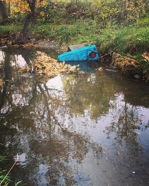 Image post by @chrishaven on Instagram