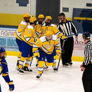 Image post by @nanookshockey on Instagram