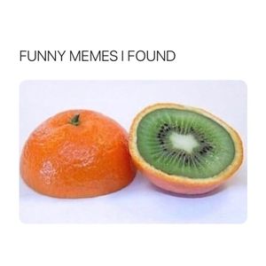 Image post by @the.virtual.bitch on Instagram