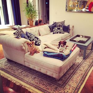 Image post by @laraleatrump on Instagram