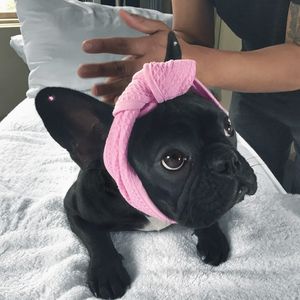Image post by @ladygaga on Instagram