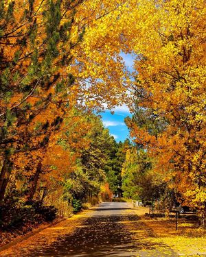 Image post by @nauflagstaff on Instagram