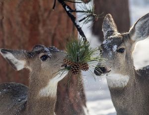 Image post by @nationalparkservice on Instagram