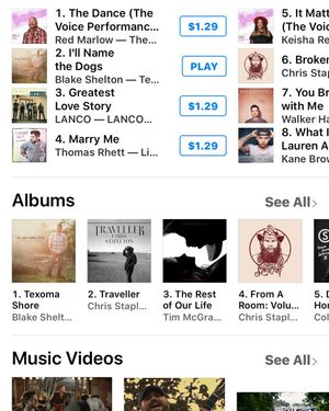 Image post by @gwenstefani on Instagram