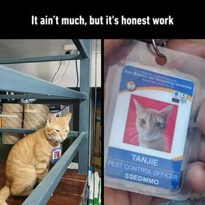 Image post by @9gag on Instagram