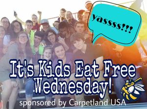 Image post by @burlington_bees on Instagram