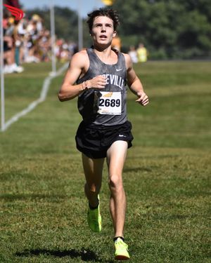 Image post by @dyestat on Instagram