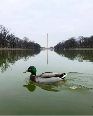 Image post by @dctography on Instagram