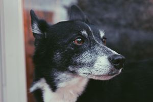 Image post by @itskrystalj on Instagram